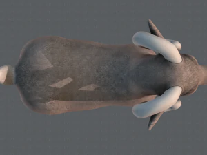 sheep v01 3D Model