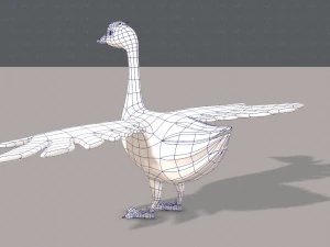 duck v01 3D Model