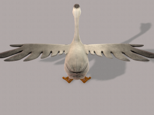 duck v01 3D 模型