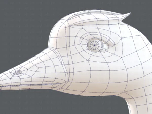duck v01 3D Model