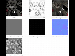 raccoon v01 3D Model