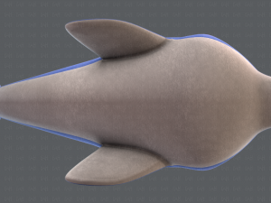 dolphin v01 3D Model