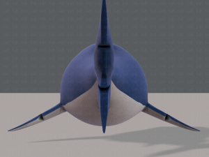 shark v01 3D Model