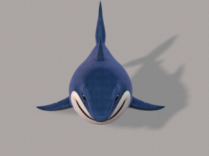 shark v01 3D Model