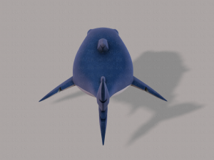 shark v01 3D Model