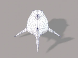 shark v01 3D Model