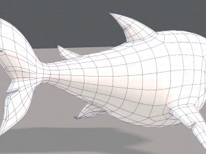 shark v01 3D Model