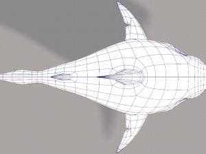 shark v01 3D Model