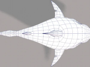 shark v01 3D Model