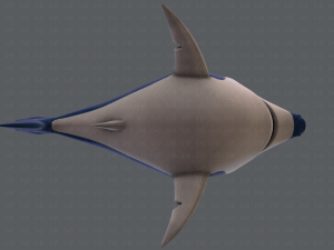 shark v01 3D Model