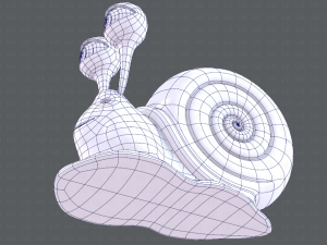 snail v01 3D मॉडल