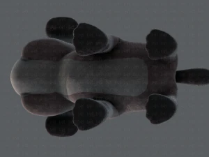 dog base cartoonv06 3D Model