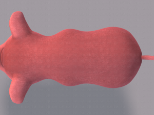 pig cartoon v03 3D Модель