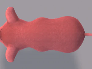 pig cartoon v03 3D Model
