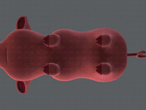 pig cartoon v03 3D Model