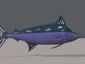 fish v04 3D Model