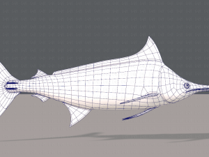 fish v04 3D Model