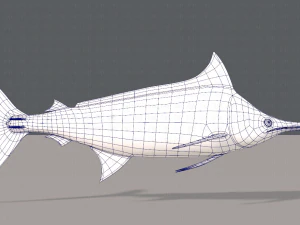 fish v04 3D Model