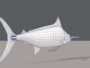 fish v04 3D Model
