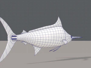fish v04 3D Model