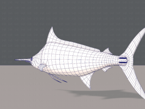 fish v04 3D Model