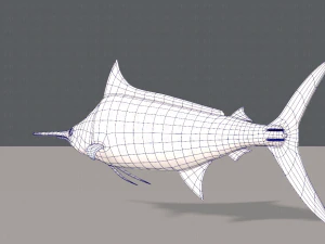 fish v04 3D Model