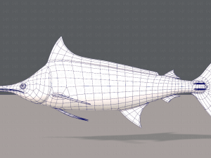 fish v04 3D Model