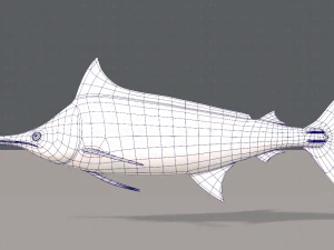 fish v04 3D Model