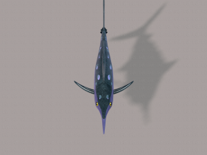 fish v04 3D Model