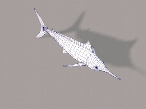 fish v04 3D Model