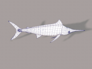 fish v04 3D Model