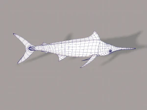 fish v04 3D Model