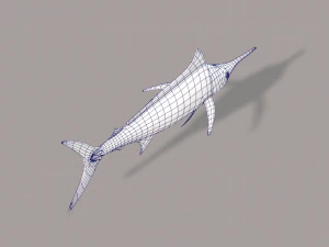 fish v04 3D Model