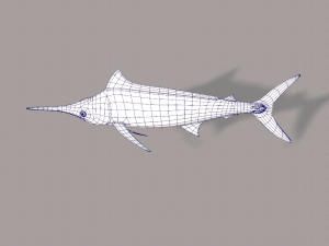 fish v04 3D Model
