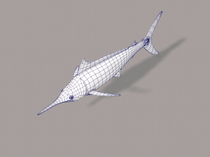 fish v04 3D Model