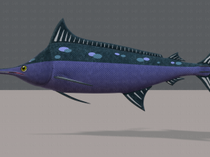 fish v04 3D Model