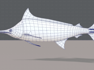 fish v04 3D Model