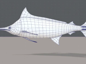 fish v04 3D Model