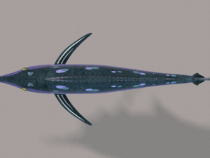 fish v04 3D Model