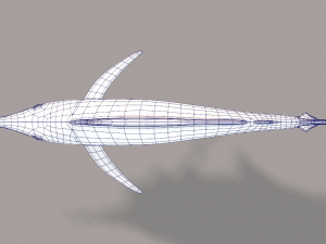 fish v04 3D Model