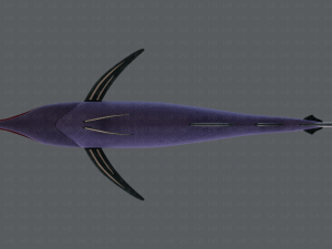 fish v04 3D Model