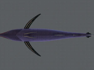 fish v04 3D Model