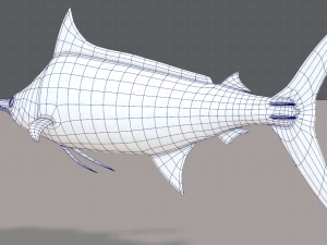 fish v04 3D Model