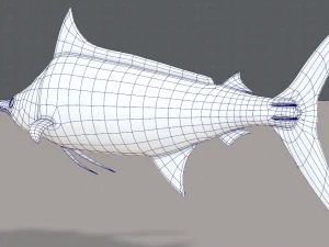 fish v04 3D Model