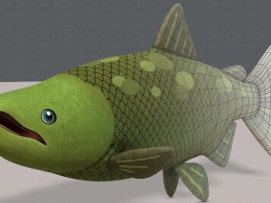 fish v05 Model 3D