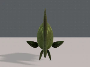 pesce v05 Modello 3D