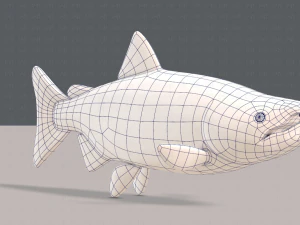 pesce v05 Modello 3D