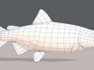 fish v05 3D 모델