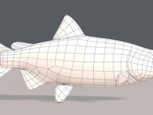 pesce v05 Modello 3D