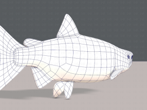 fish v05 3D 모델